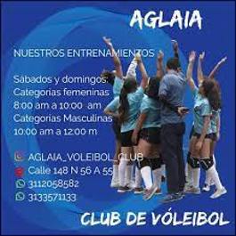 Clubes de voleibol en Bogotá