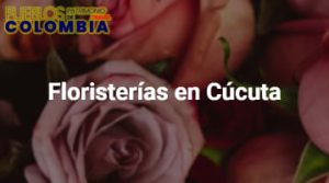 Floristerías en Cúcuta