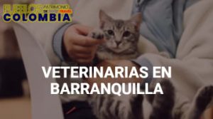 Veterinarias en Barranquilla